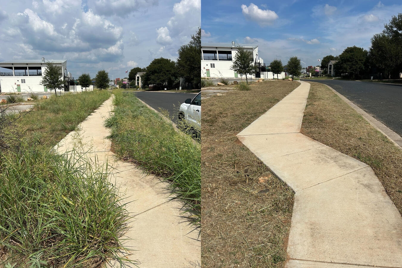 Grass sidewalk